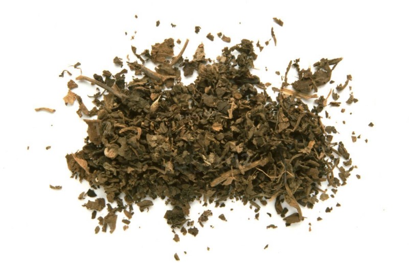 Indian patchouli