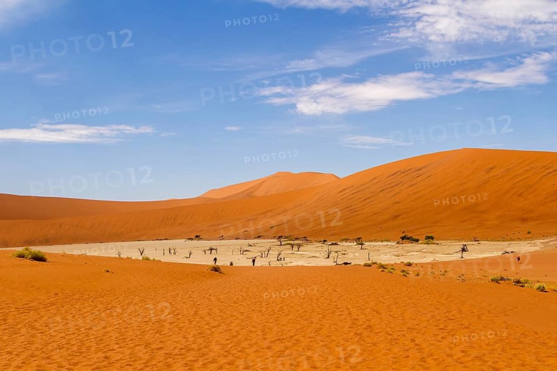Dead Vlei
