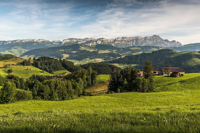 Green meadows and pastures in Appenzellerland