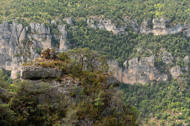 Gorges du Tarn in Cevennes National Park. Le Rozier