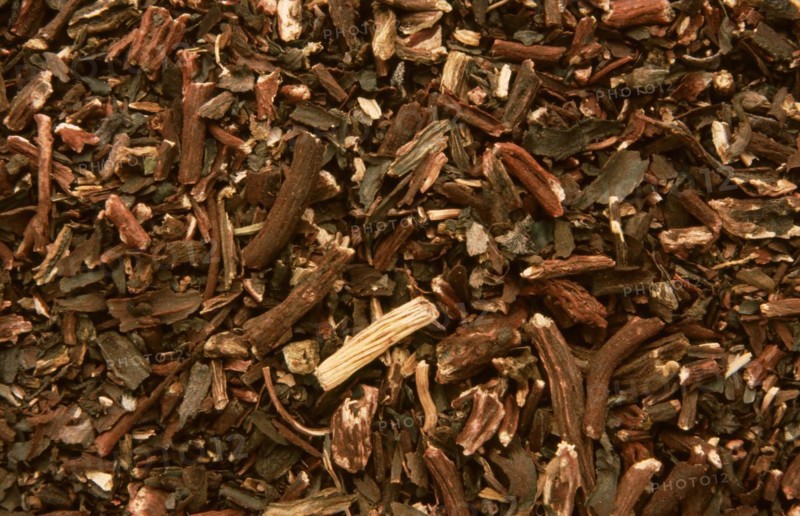 Alkanna tinctoria
