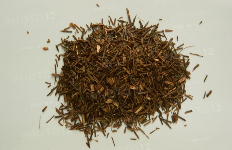 Aspalanthus lineatis