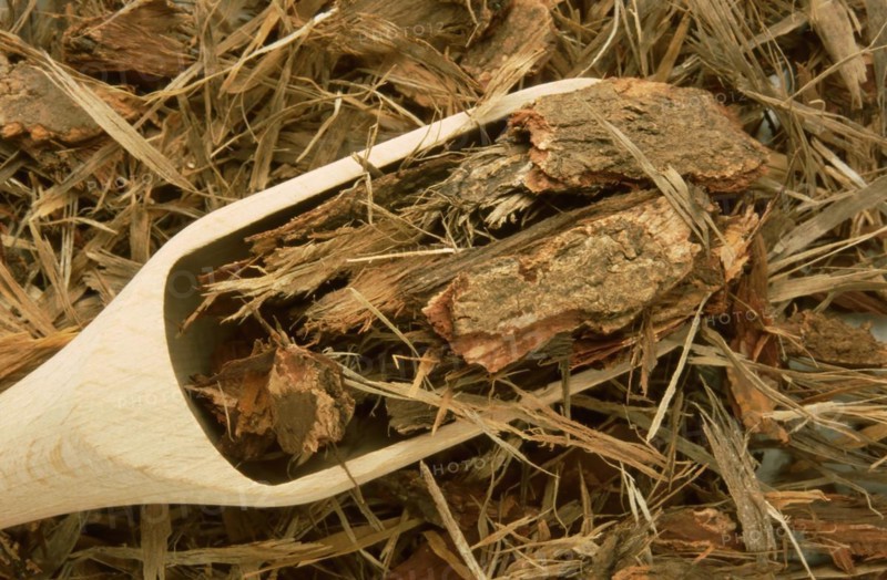 Natural remedy: neem