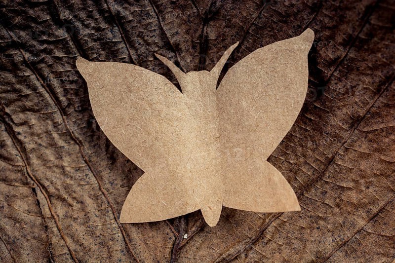 Butterfly cut of paper on brown paper in view