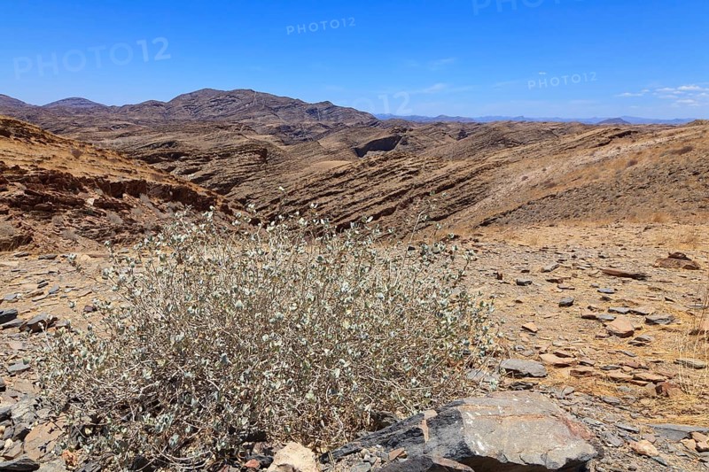 Landscape at Kuiseb Pass