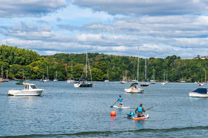 People on Paddle Boards and Yachts on River Dart over Dittisham and Greenway Quay
