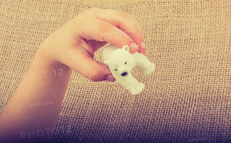 Hand holding a Polar bear model in hand on canvas