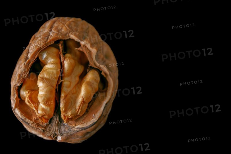 Unshelled walnut in close-up isolated on black background