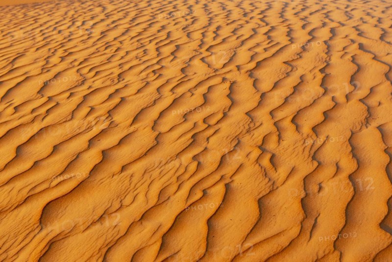 Natural patterns and ripples in the sand