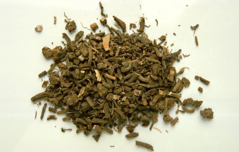 Medicinal herbs: valerian