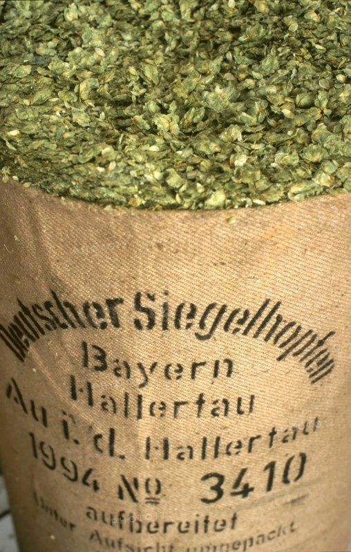 Dried brewers hops