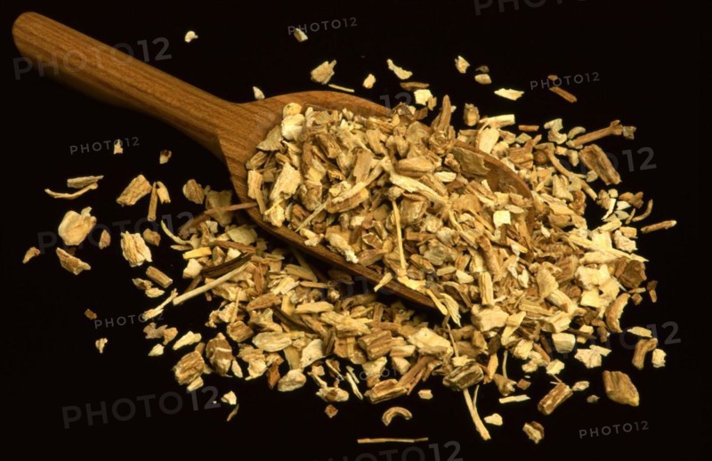 Soap root