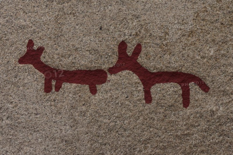 Rock carvings with animals