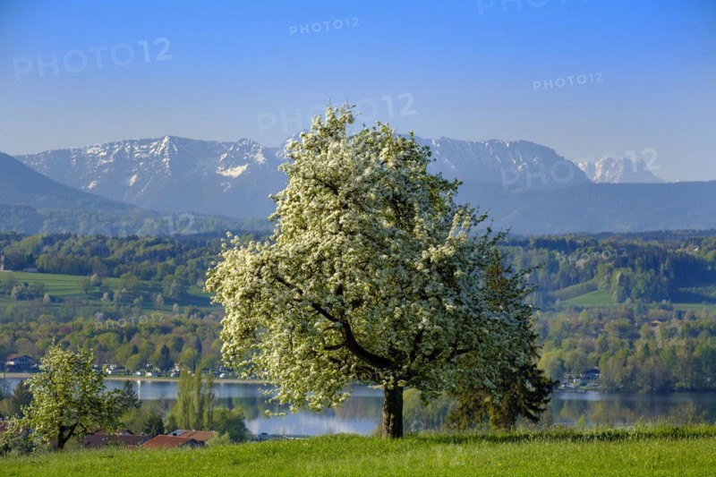 View from Bicheln