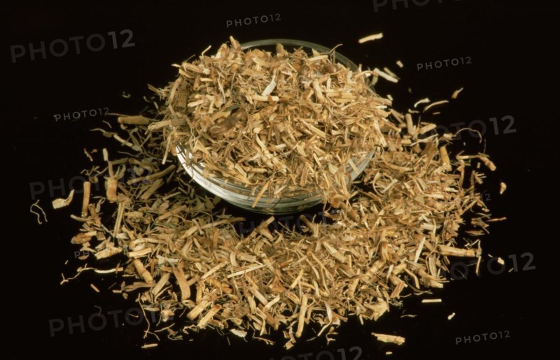 Natural remedy dried couch grass
