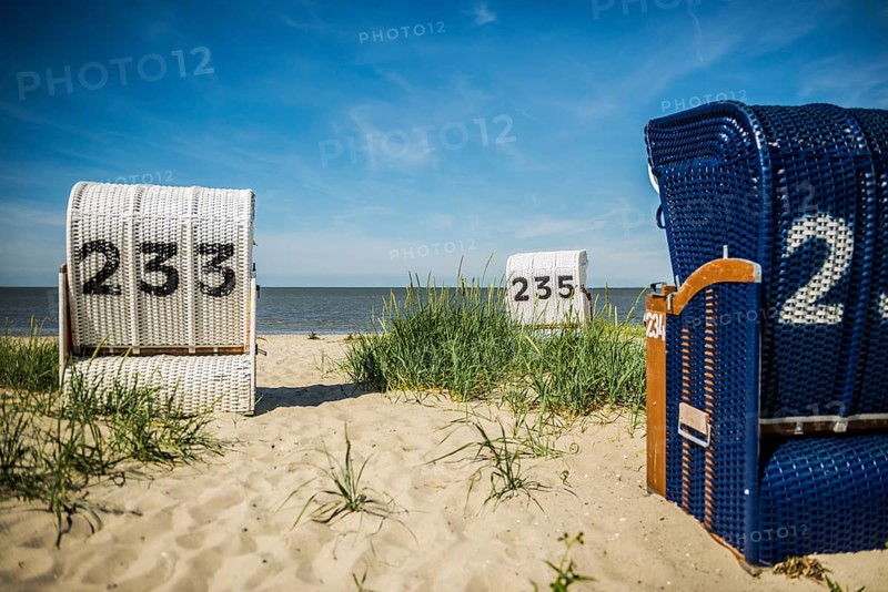 Beach chairs on the sandy beach