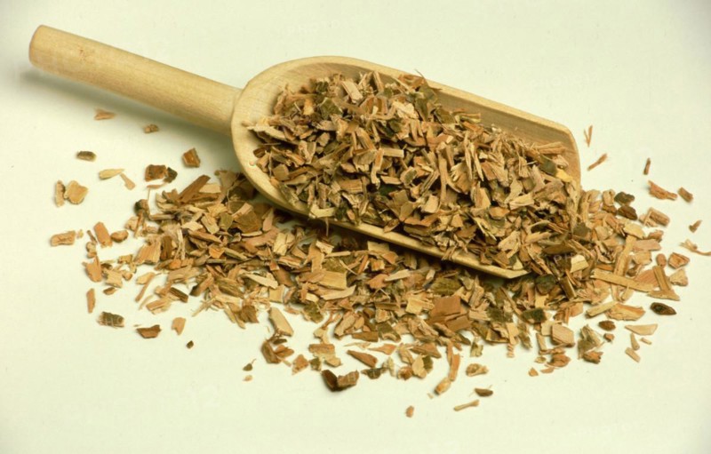 Medicinal plant