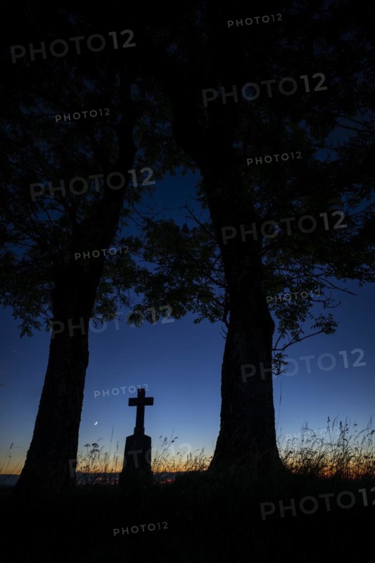 Field cross with trees at blue hour