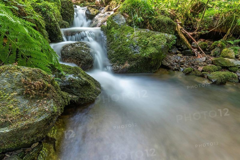Fresh water waterfall on rocks moss cover in mountain. Fresh water waterfall on rocks moss cover in mountain.osges Alsace