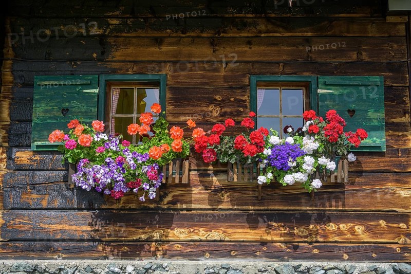 Flower window at the Priesshuette on the Nockalm Road