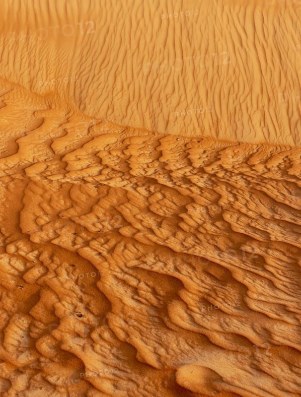 Natural patterns and ripples in the sand