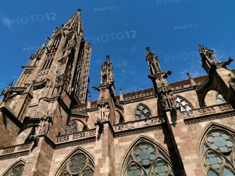 Freiburger Muenster