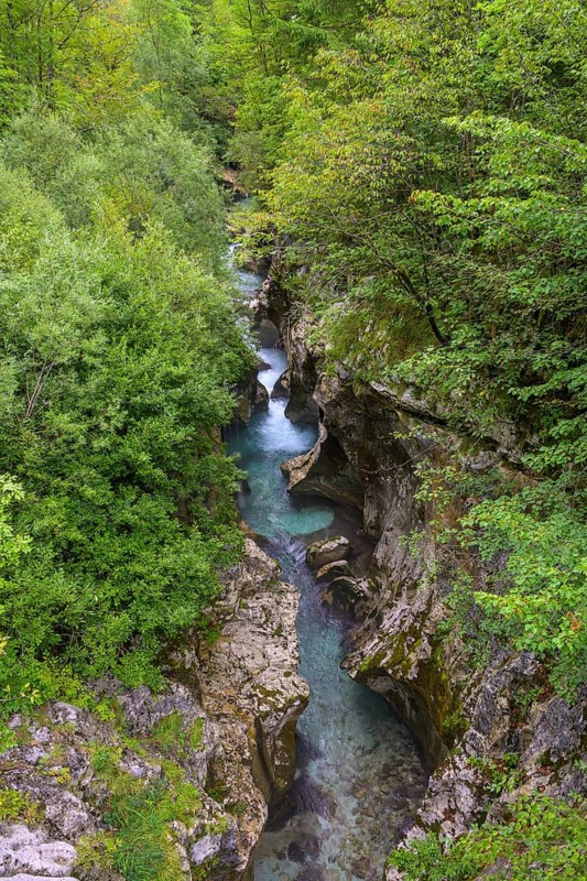 Narrows of the river at the Velika korita Soce