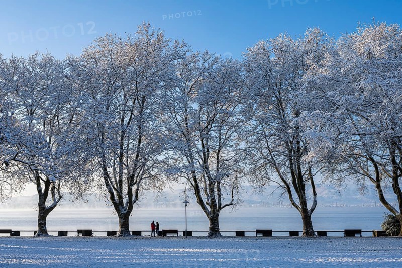 View of Lake Constance from the snow-covered Mettnaupark