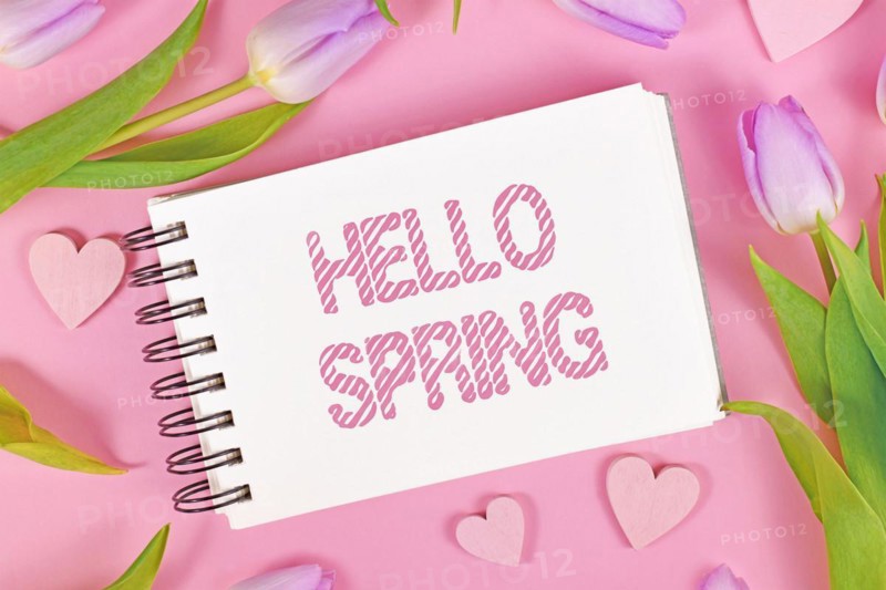 Violet tulip flowers and heart ornaments surrounding text 'Hello Spring'