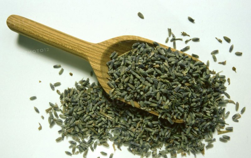 Dried lavender flowers