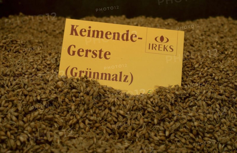 Sprouting barley