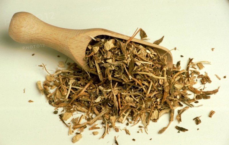 Medicinal herbs: Sarsaparilla root