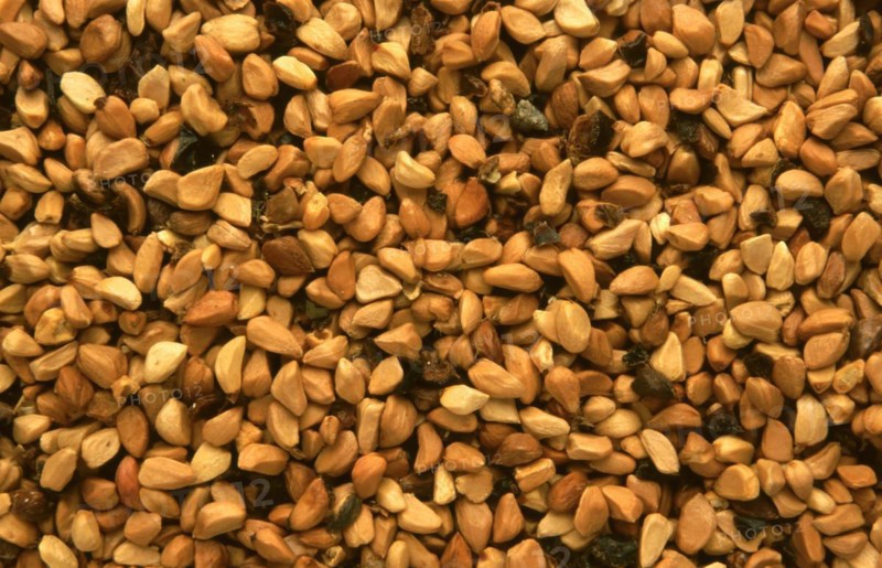 Natural remedy: Rosehip seeds