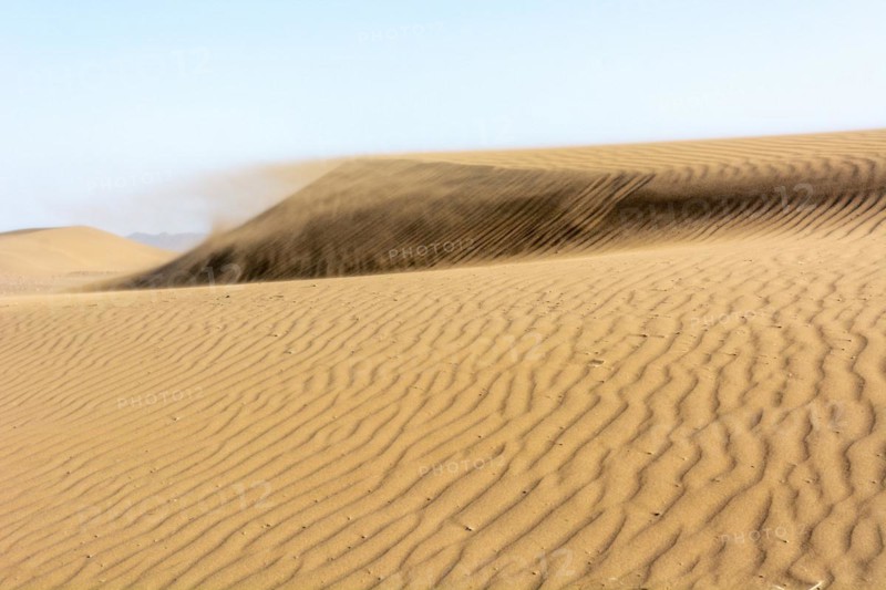 Wanderduenen in der Wueste Erg Chebbi in Suedmarokko. Merzouga