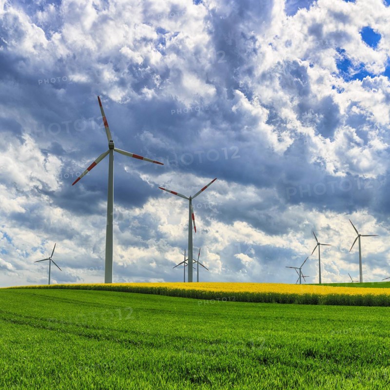 Wind turbine in a rural area