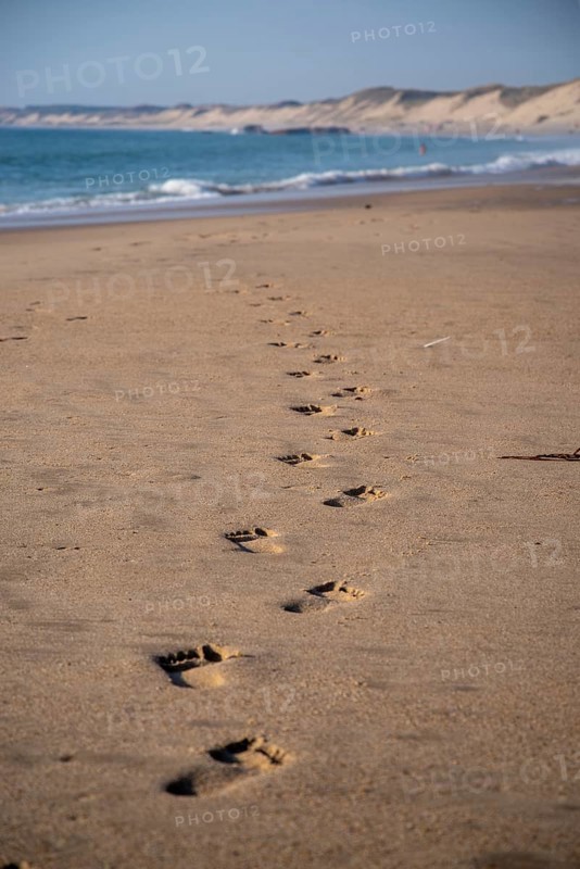 Footprints on the long sandy beach of the Cote dArgent