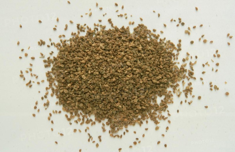 Medicinal herbs: celery