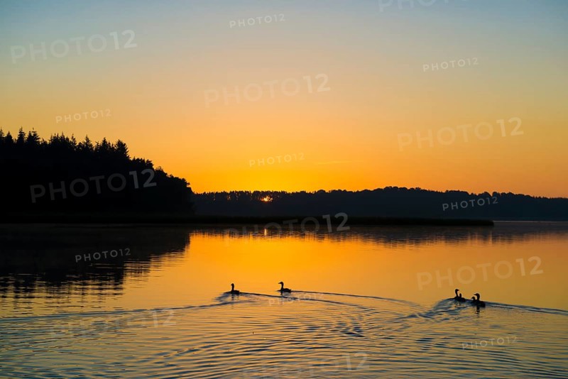 Schaalsee near Seedorf