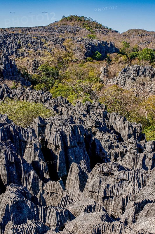 Tsingy plateau in the Ankarana Special Reserve