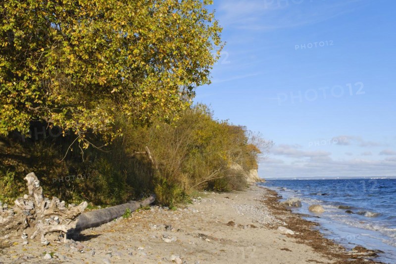 Brodtener Steilufer on the Baltic Sea