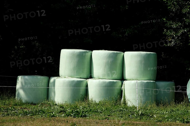 Grass silage packed with green plastic sheeting