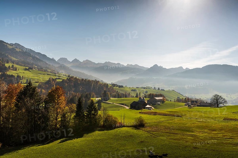 Pastures in Toggenburg