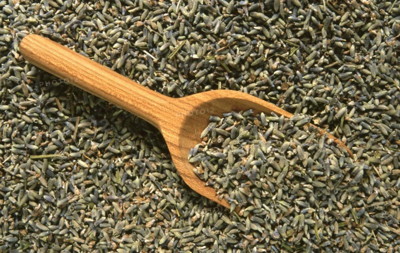 Dried lavender flowers