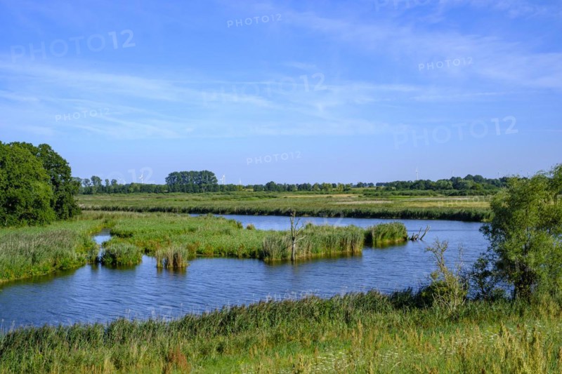 River landscape of the meandering Peene in the Peene valley near Randow