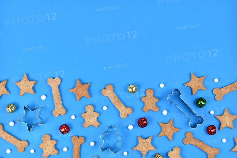 Dog christmas cookies in shape of bones