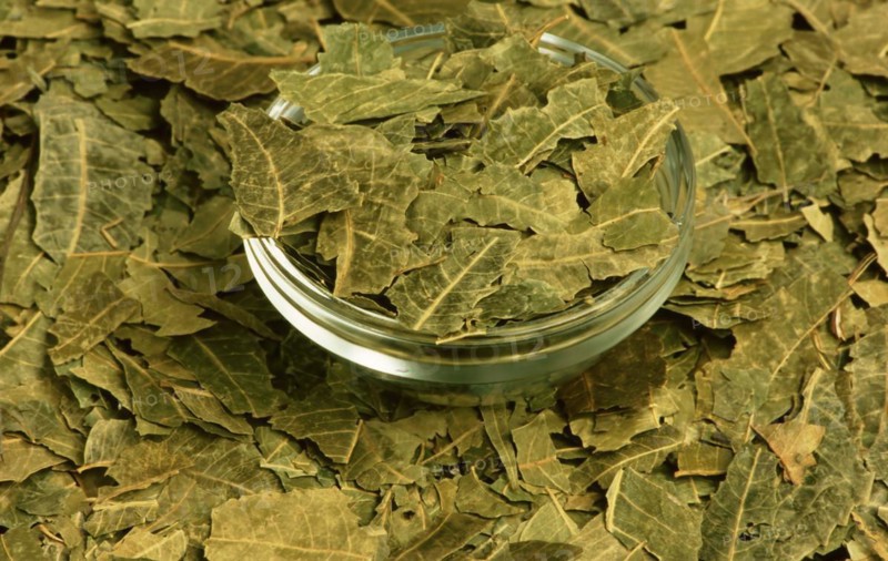 Natural remedy: Neem