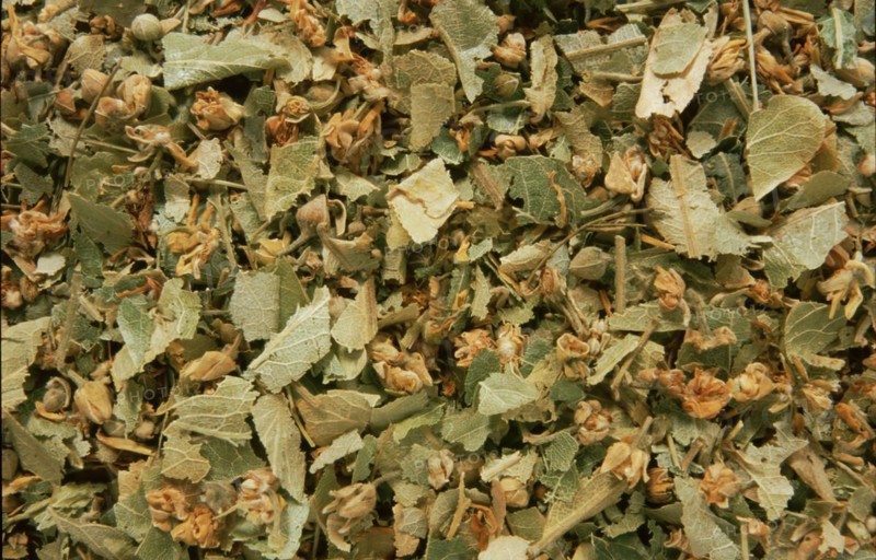 Dried lime blossoms