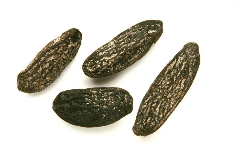 Natural remedy Tonka beans from the cumaru