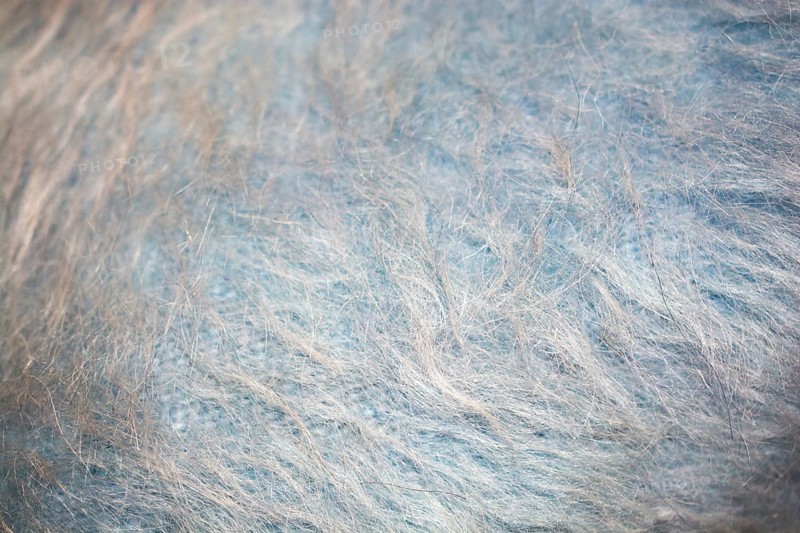 Gray and blue felt like fabric material forming a texture background