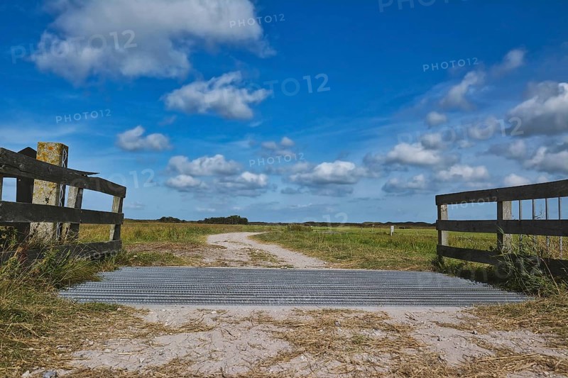 Cattle grid in ground